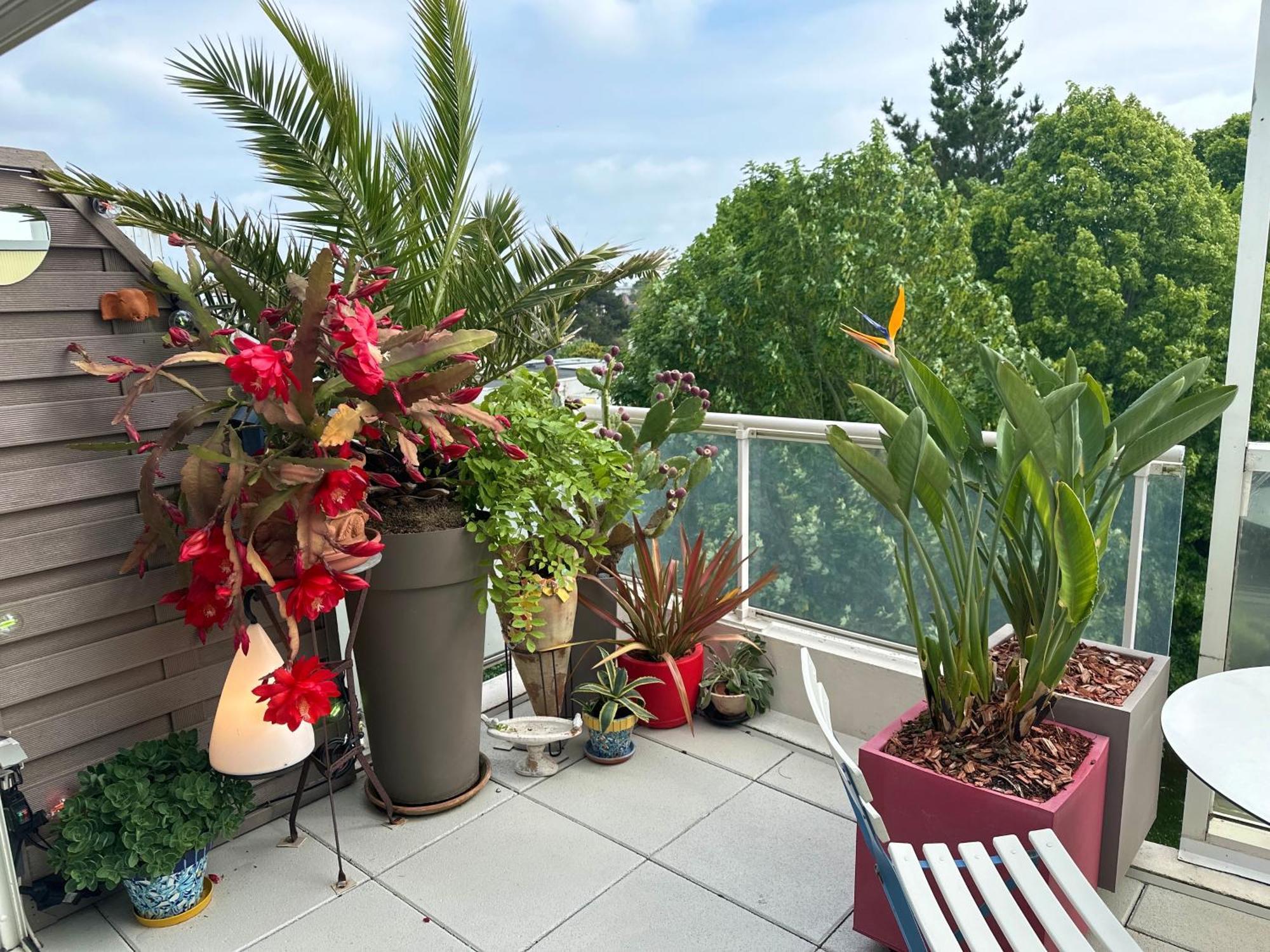 Appt Lumineux & Calme , Idealement Bien Situe , Velo A Disposition La Baule 外观 照片